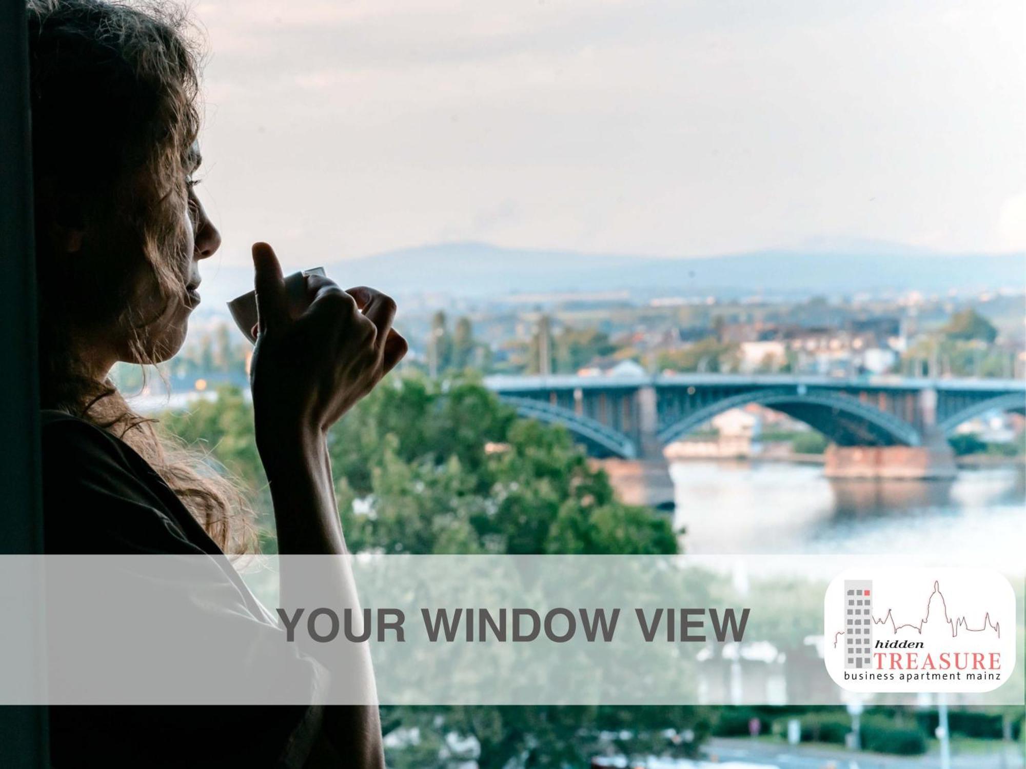 Hidden Treasure Business Apartment Mainz - Fantastic Rhine View In Center Of Mainz Old Town מראה חיצוני תמונה