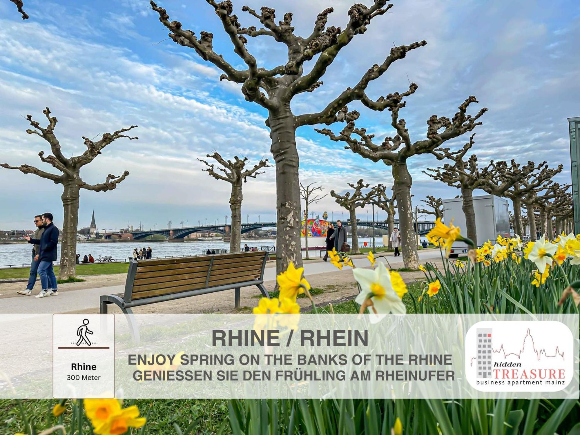 Hidden Treasure Business Apartment Mainz - Fantastic Rhine View In Center Of Mainz Old Town מראה חיצוני תמונה