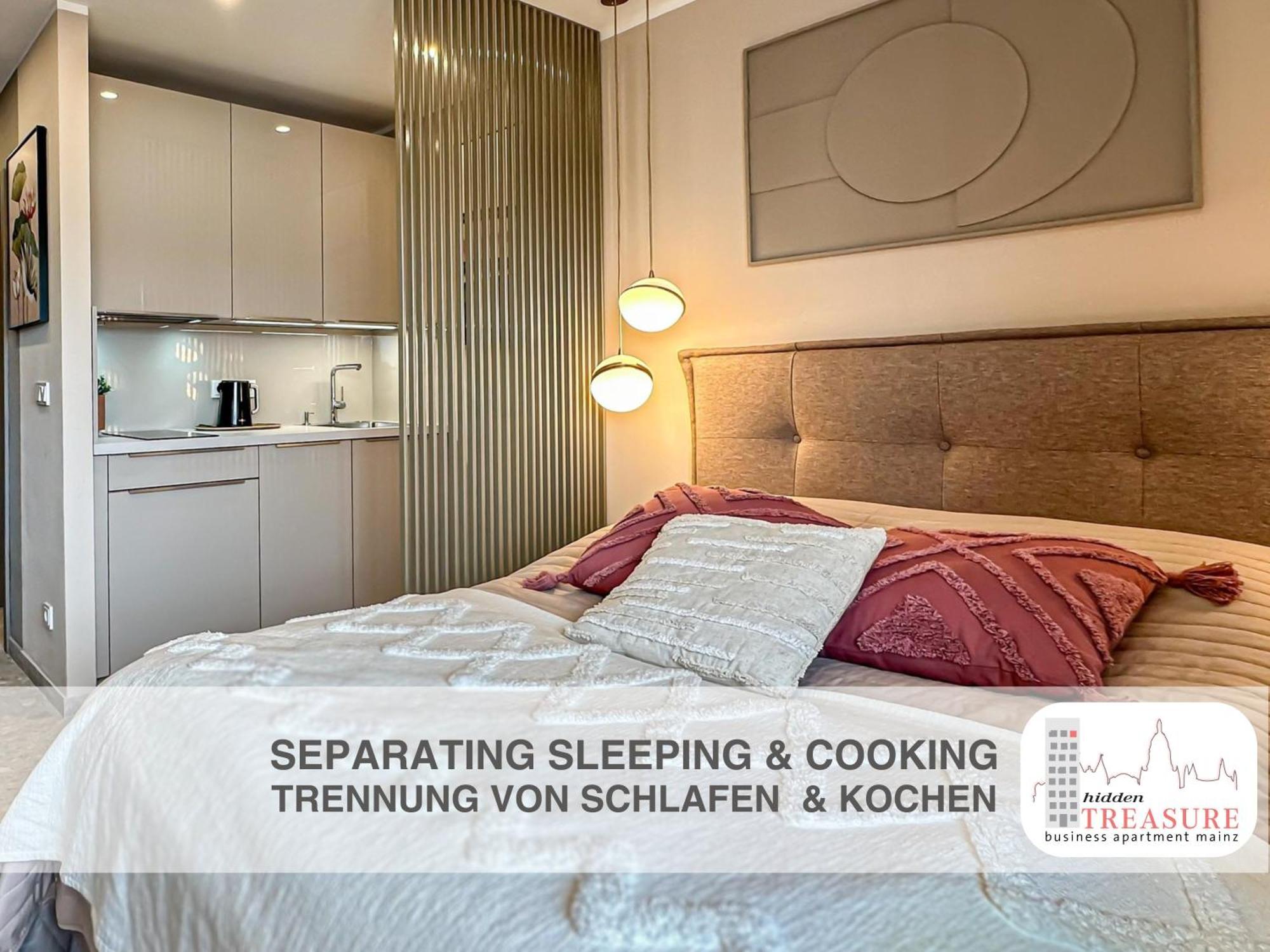 Hidden Treasure Business Apartment Mainz - Fantastic Rhine View In Center Of Mainz Old Town מראה חיצוני תמונה