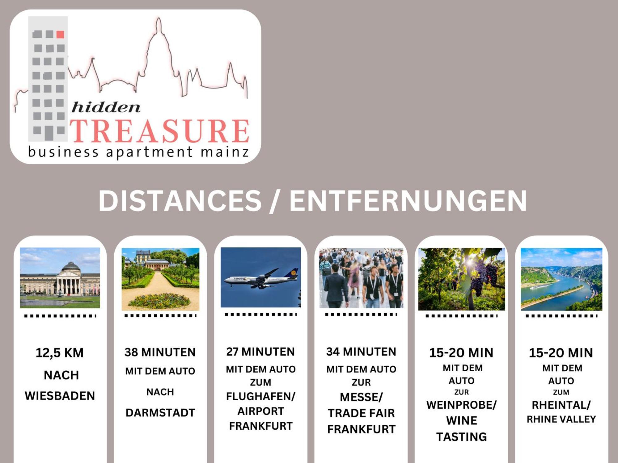 Hidden Treasure Business Apartment Mainz - Fantastic Rhine View In Center Of Mainz Old Town מראה חיצוני תמונה