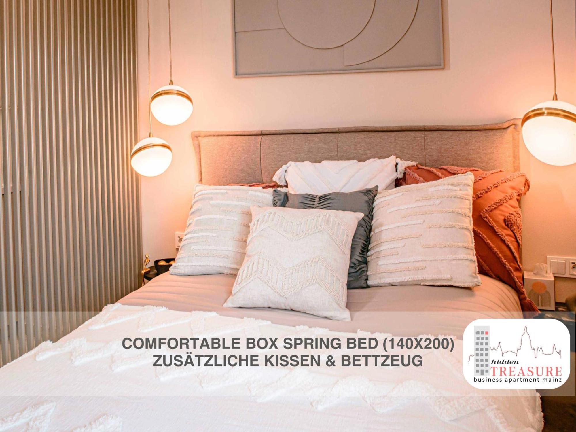 Hidden Treasure Business Apartment Mainz - Fantastic Rhine View In Center Of Mainz Old Town מראה חיצוני תמונה